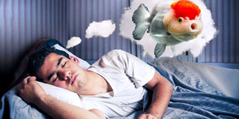 Giải mã nằm mơ thấy cá giúp đánh lô đề thắng lớn